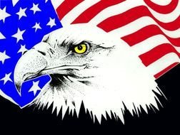 Eagle American Flag drawing