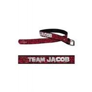 Twilight Eclipse Belt Team Jacob