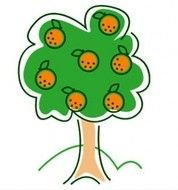 Orange Tree Clip Art N5