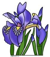 Iris Flower Clip Art N8