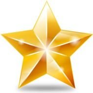 Christmas Star N2