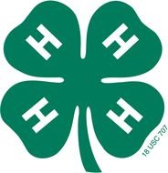 drawing of 4 H Clover Logo