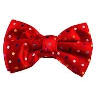multicolored polka dot bow tie