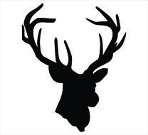 Deer Head Silhouette darwing