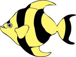 yellow Tropical Fish drawing
