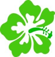 Hawaiian Flower Clip Art N28