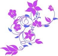 drawn purple curly flowers on a white background