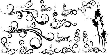 Vector Swirl Designs darwing