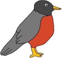 Robin Clip Art N8