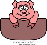 Cartoon Pig Clip Art N16