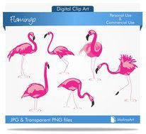 Ä°llustration of pink Flamingoes