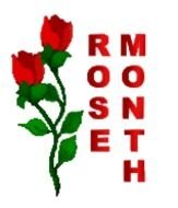 Red Rose Clip Art N19