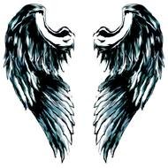 black angel wings on a white background