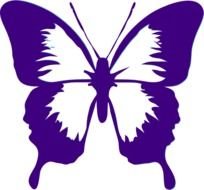 Butterfly Clip Art N41