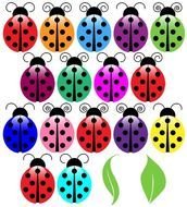 Ladybug Clip Art N22