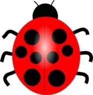 Cartoon Ladybug Clip Art N13