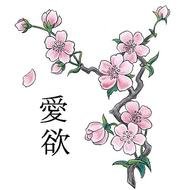 Japanese Cherry Blossom Tattoos
