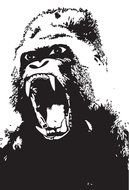 Angry Silverback Gorilla, portrait, Clip Art