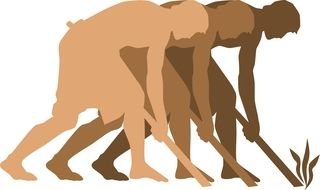 Slave Working In The Field drawing