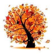 Colorful beautiful tree in the fall clipart