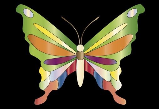 colorful butterfly on the black background