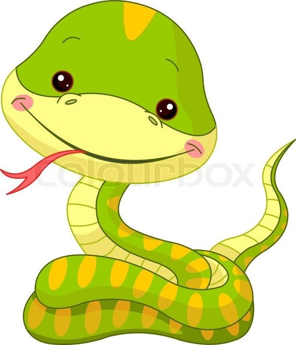 Cartoon Snake N5