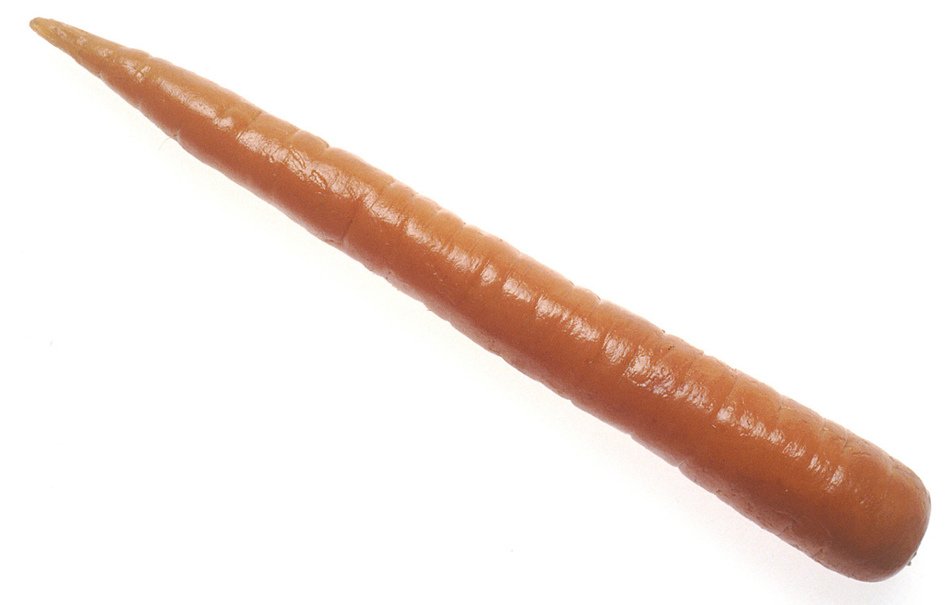 isolated carrot on the white background