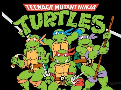 Teenage Mutant Ninja Turtles N6