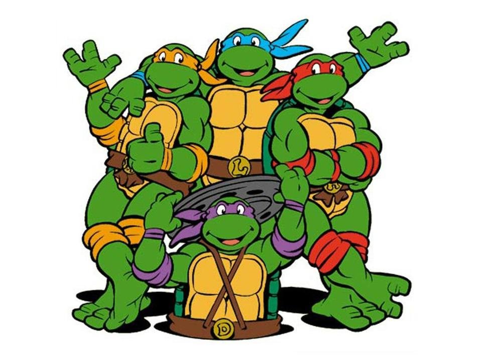 Teenage Mutant Ninja Turtles N9