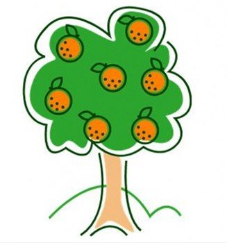 Orange Tree Clip Art N5