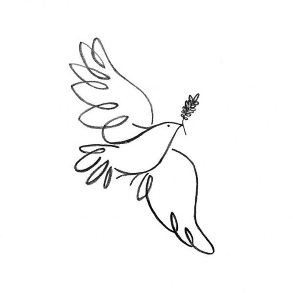 How to Draw Dove  Pigeon Drawing  Peace Dove Drawing  Pigeon Drawing  Step by Step  YouTube