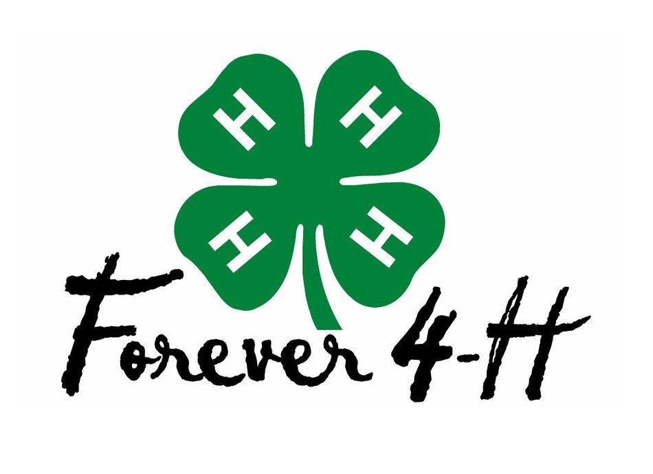 logo with clover leaf