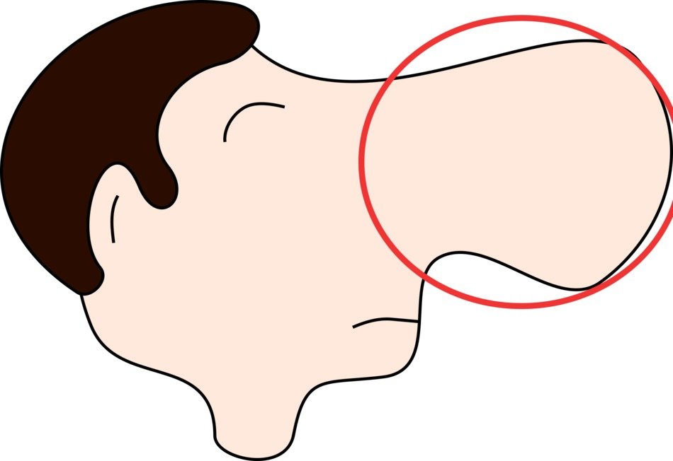 clipart of the man with big nose