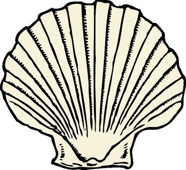 Cartoon Sea Shell Clip Art N7