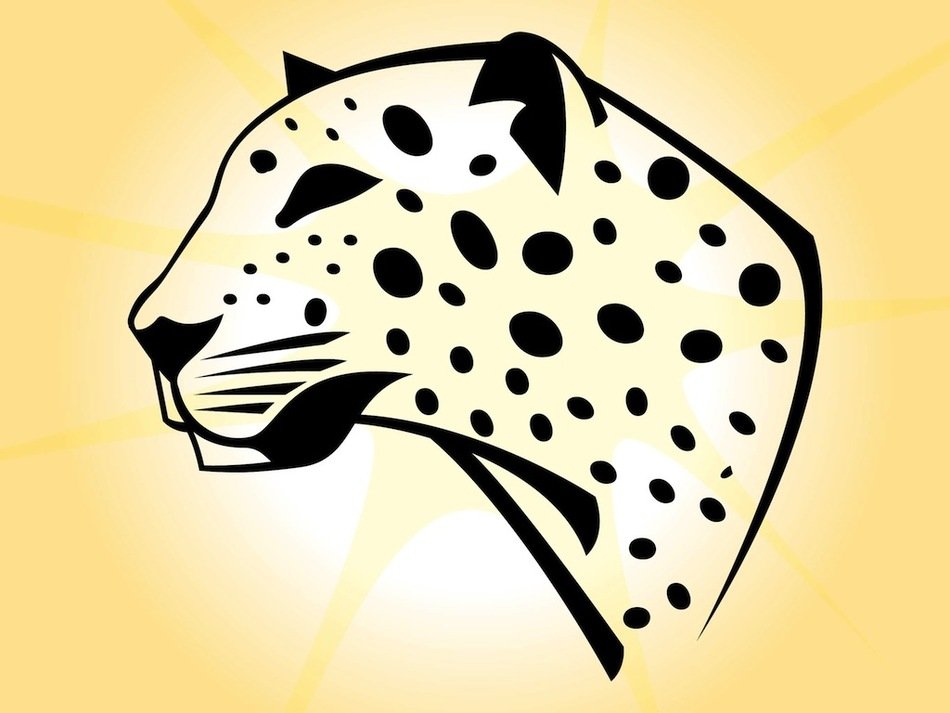 cheetah head on a yellow background