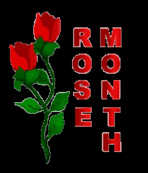 Red Rose Clip Art N19