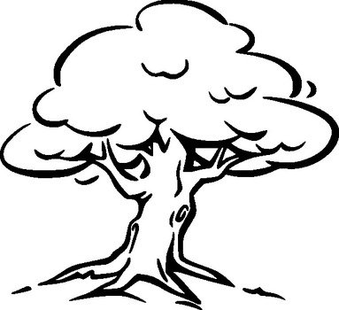 Tree Outline Clip Art N3