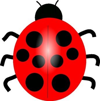 Cartoon Ladybug Clip Art N13