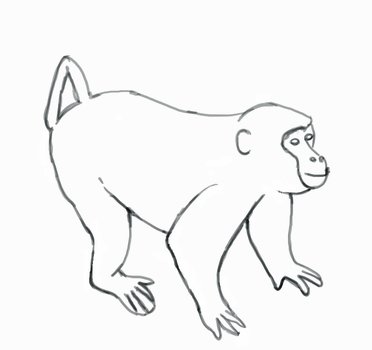 Monkey Drawing