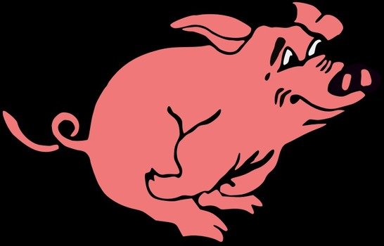 Cartoon Pig Clip Art N19