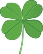 green quatrefoil on a white background