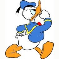 Donald Duck N14