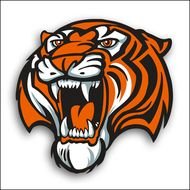 Tiger Mascot
