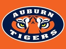 Tigers Football Logo drawing