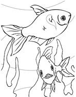 drawing of the fishes