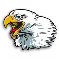 Eagle Head N2