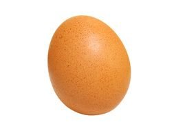 Egg as picture for clipart