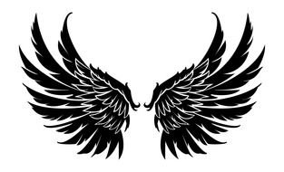 Skull With Wings drawing