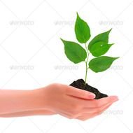 Hands Holding Plant N2