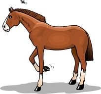 Cartoon Horse as illustration